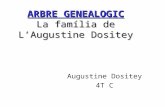 Arbre genealogic augustine