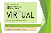 Evolución y retos de la eduaciòn virtual