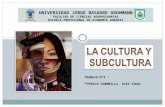 Trabajo nº3 (cultura)Antropologia Social del Perú