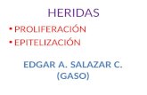 HERIDAS- PROLIFERACION- EPITELIZACION