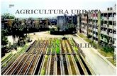Agricultura urbana 3' (1)