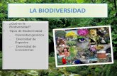 La biodiversidad