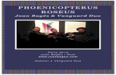 Phoenicopterus Roseus-Joan Bagés & Vanguard Duo