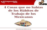 4 Cosas que no Sabías de los Hábitos de Trabajo de los Mexicanos