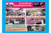 Revista lucha indigena: Balance de conflictos mineros