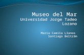 Museo del mar21