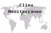 Clima mediterraneo