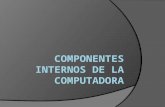 Componentes internos de la computadora