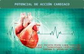Potencial de acción cardiaco