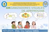 Organizadores visuales de aprendizaje