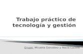 Trabajo práctico de tecnología y gestión mr (2)