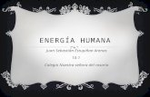 Energía humana