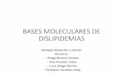 Bases moleculares de dislipidemias