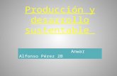 produccion y desarollo... Anwar Alfosno Pérez