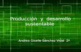 Produccion  y  desarrollo sustentable