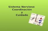 Sistema nervioso y coordinacion