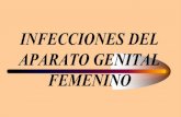 Infecciones del tracto genital femenino ets