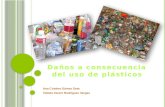 Daños por los plasticos