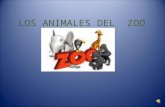 Los animales del  zoo