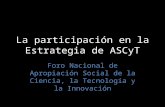La participación en la Estrategia de ASCyT
