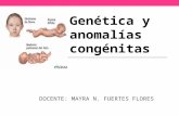 Genética y anomalías congénitas