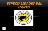 especialidades del INWTD