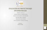 EVALUACIÓN DE PROYECTOS BAJO OPCIONES REALES GRUPO: 210110_3