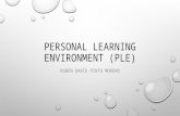 Personal learning environment (ple)