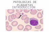 Patologias de plaquetas