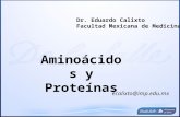 Aminoácidos 060709
