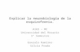Neurobiología de la esquizofrenia