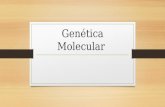 Genética molecular 6