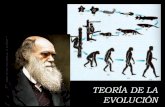 Evolucion 7