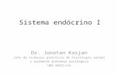 Sistema Endocrino - Parte 1