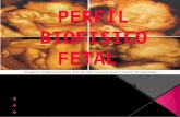 Perfil biofsio fetal
