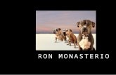 Ron Monasterio