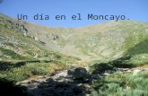 Un dia en el Moncayo.2