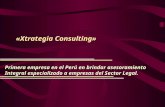 Plan de Negocios  Xtrategia Consulting - Consultoría Integral especializada a empresas del Sector Legal
