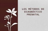 Bioética y Diagnóstico Prenatal