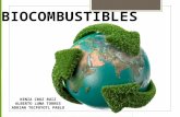 Biocombustibles (2)