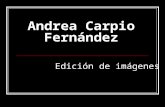 Andrea Carpio - Tratamiento de imágenes