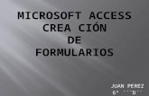 Juan perez formularios access