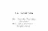 La neurona y neuroglia 15