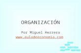 Ag04 organizacion