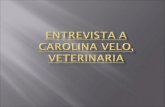 Entrevista a Carolina Velo - Veterinaria