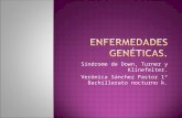 Diferentes tipos de enfermedades genéticas
