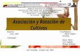 Asociación y Rotación de Cultivos