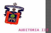 Auditoria expo-iii