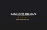 Culturas pre colombinas