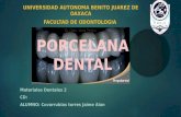 Porcelana dental